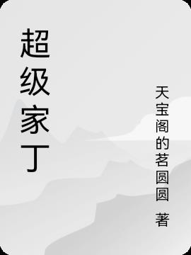 超级家丁怎么样