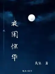 夜阑惊华